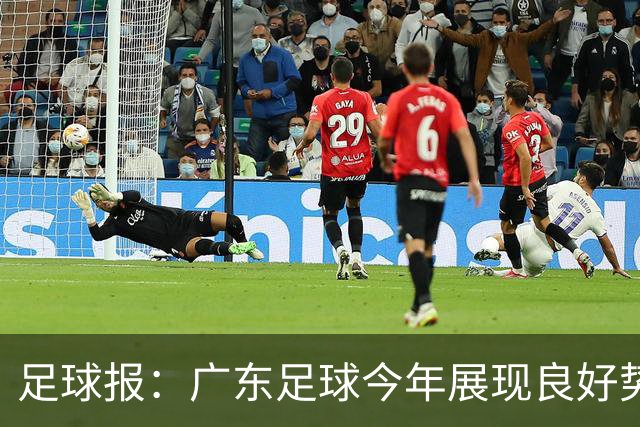 足球报：广东足球今年展现良好势头，广州豹、深圳青年人全力冲超